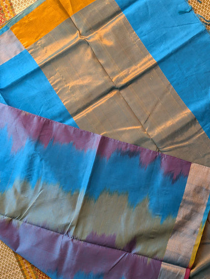 Paturu Ikkat Cotton by Pattu Saree