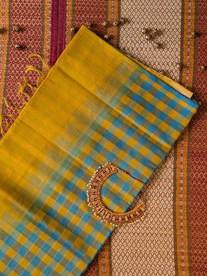 Paturu Pattu Checkered Borderless Saree- Sky blue & Yellow