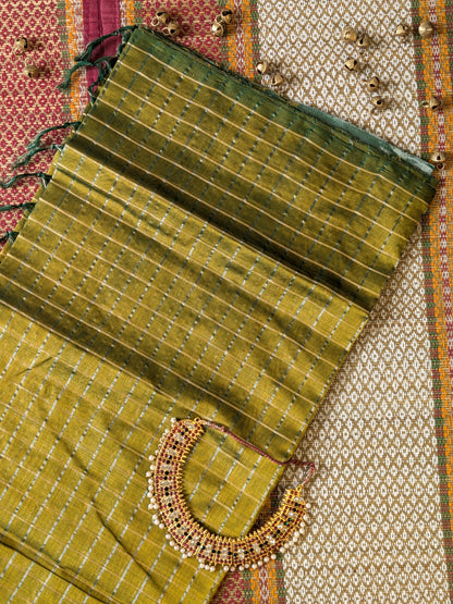 Paturu Pattu Checkered Borderless Saree- Tissue green