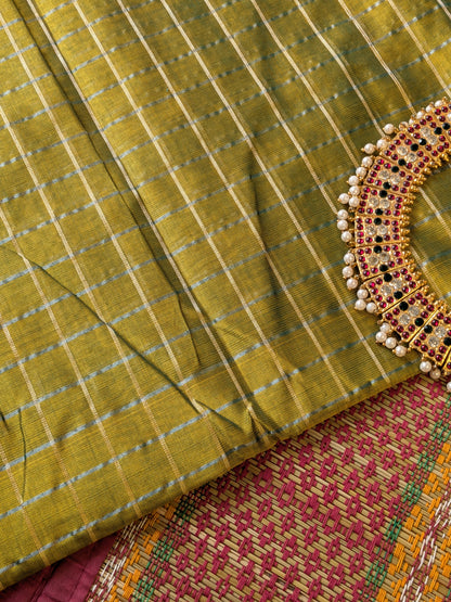 Paturu Pattu Checkered Borderless Saree- Tissue green