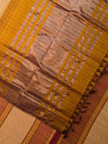 Paturu Pattu Checkered Borderless Saree- Tissue Gold