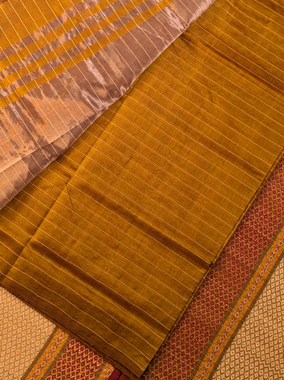 Paturu Pattu Checkered Borderless Saree- Tissue Gold