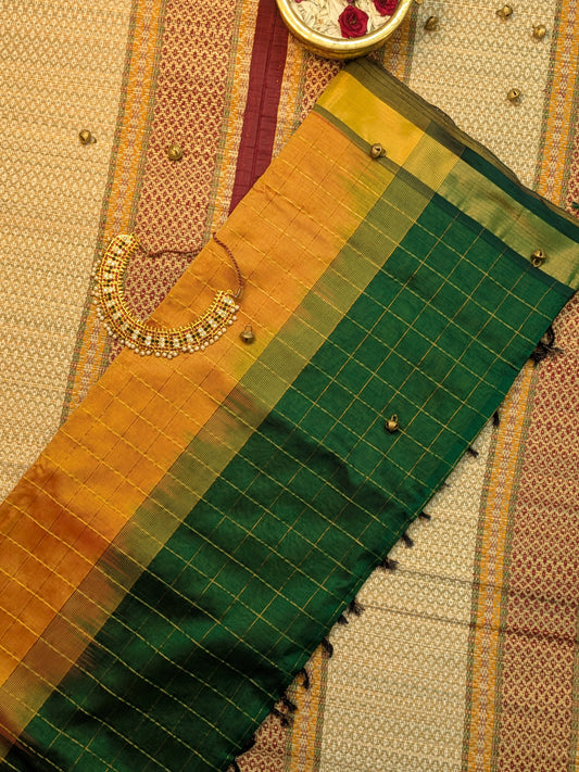 Paturu Pattu Ikkat Border_Yellow & Green