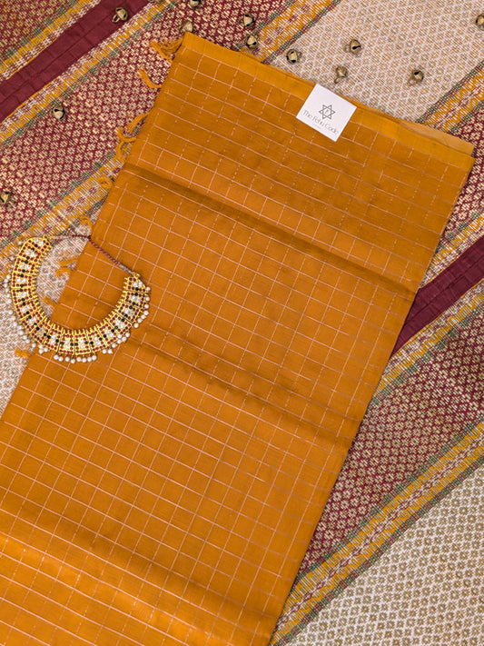 Paturu Pattu Checkered Borderless Saree