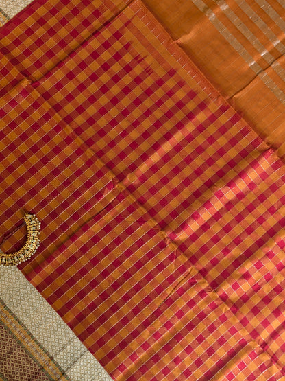 Paturu Pattu Checkered Borderless Saree