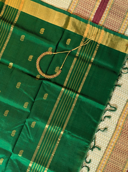 Paturu Pattu Buta Saree