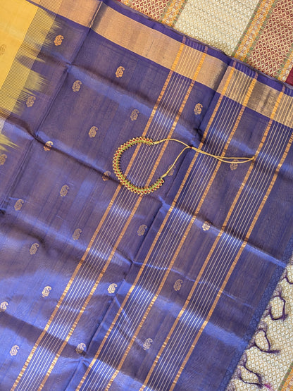 Paturu Pattu Buta Saree