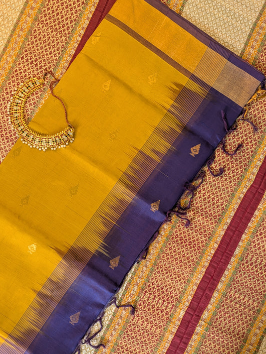 Paturu Pattu Buta Saree
