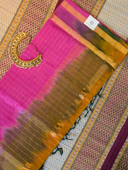 Paturu Pattu Checks- 2 Ikkat Border