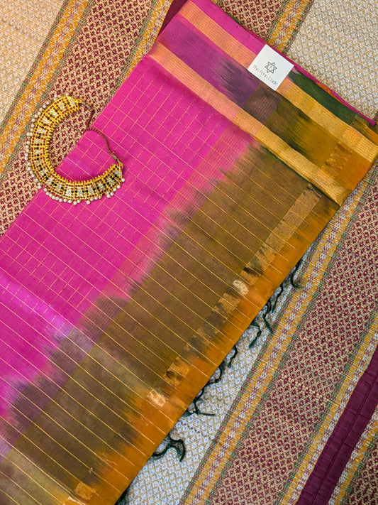 Paturu Pattu Checks- 2 Ikkat Border